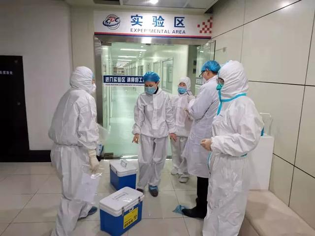 让新型冠状病毒无所遁形的尖刀兵——临沂市疾控中心卫生第二党支部战疫记